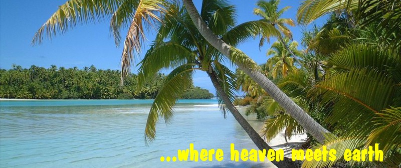 Aitutaki palm and sea - summerfield