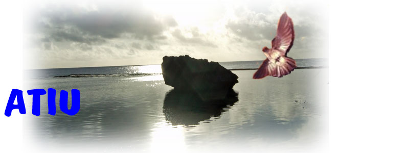 Atiu page header