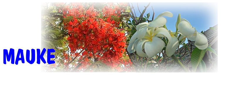 Mauke page header
