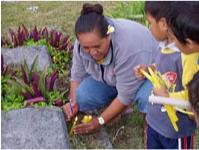 Laying flowers