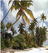One Foot Island