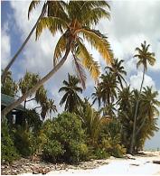 One Foot Island