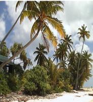 One Foot Island