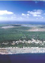 The makatea coastline