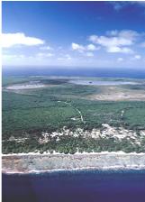 The makatea coastline