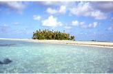 The beauty of Manihiiki