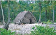 A traditional home