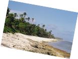 Lonely beach