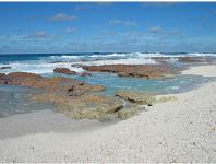 Protected shoreline