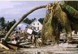 After the cyclone 1