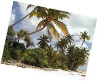 A real Robinson Crusoe island in Aitutaki lagoon