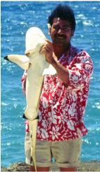 Black tip shark..and friend?!