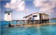 Penryhn pearl farm