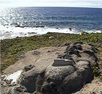 Kea's grave