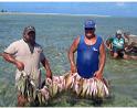 Fishing at Palmerston