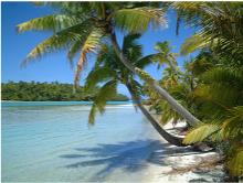 Picture paradise
