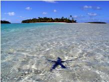 Crystal clear waters