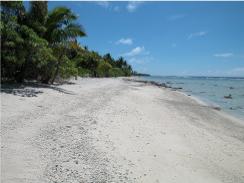A Robinson Crusoe type island