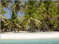 Palmerston shoreline