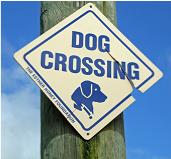 Dog crossing sign