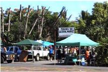 The Cultural Market