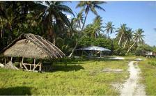 Raised huts
