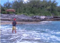 Fishing for food