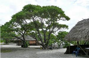 Village today
