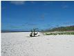 Deserted Takutea