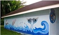 Whales and wildlife centre, Rarotonga