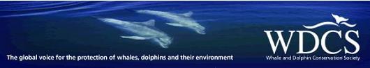 International whale and dolphin charity banner