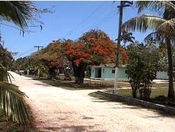 Mauke main road