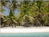 Palmerston shoreline