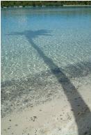 Reflect on paradise