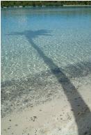 Reflect on paradise