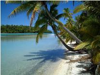 A perfect day in paradise