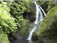 Wigmore's Falls