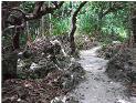 Mangaia is rugged