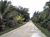 Mauke main road