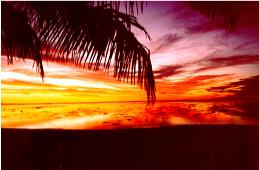 Paradise Cove, Aitutaki