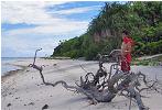 Homanai on the beach