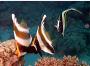 Stunning sealife