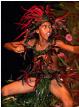 Cook Islands male dancer