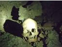 Skull in cave