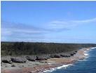 Rugged coastline