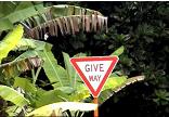 Give Way