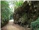 Road through the makatea