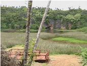 Viewing platform on Lake Tiriari, Mangaia