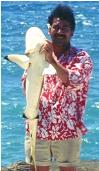 Black tip shark..and friend?!