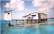 Penryhn pearl farm
